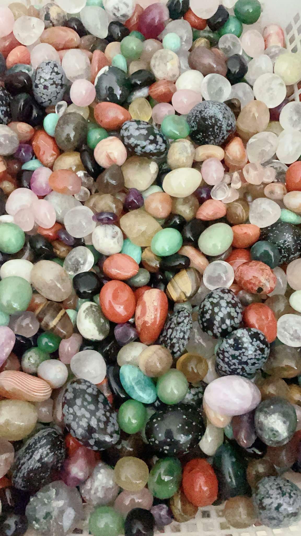 3KG High Quality Tumble Mix (6 Available)